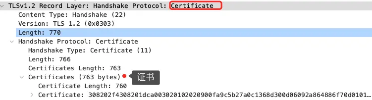 服务端发送certificate