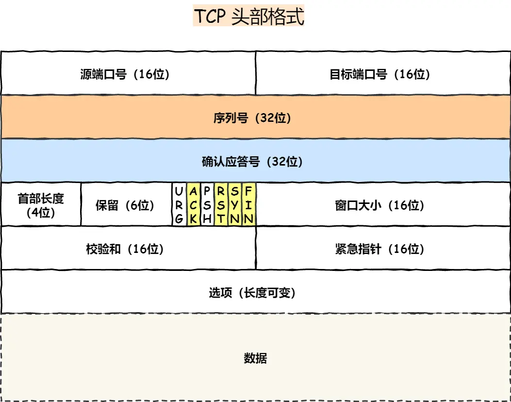 TCP 头部